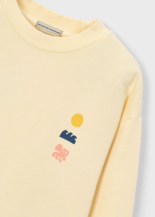 Sudadera niño Boston art The Boston Kids - Image 3