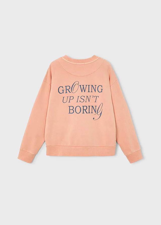 Sudadera niño Growing Up The Boston Kids - Image 4